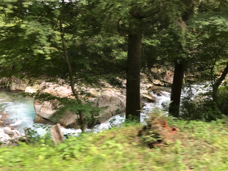 https://www.sakushinreform.com/blog/IMG_0466.jpg